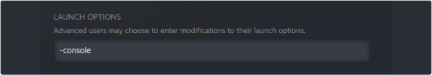 Steam launch options