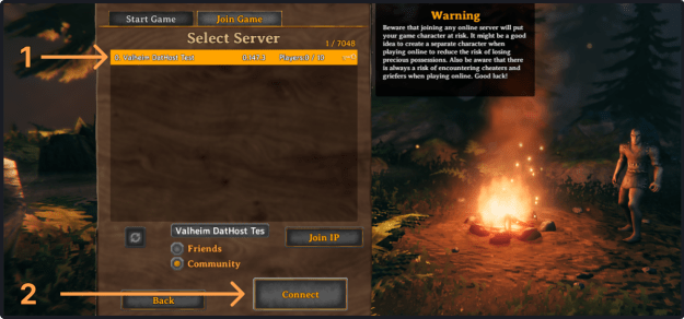 Valheim connect