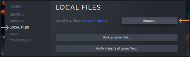 Steam local files